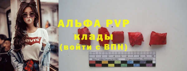 гашик Алексеевка