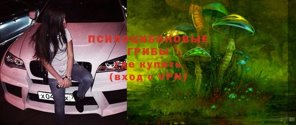 гашик Алексеевка