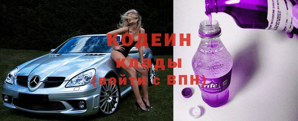 молекула духа Алексин
