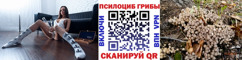 Галлюциногенные грибы Cubensis  Самара 